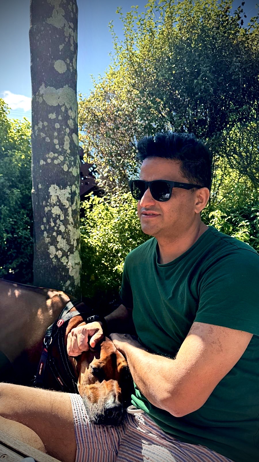 Description of the image